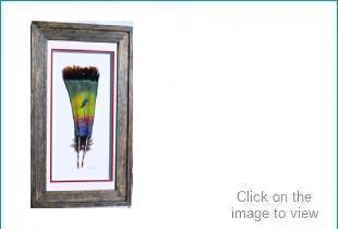 https://artinflightgallery.com/wp-content/uploads/2022/04/Hummingbird-framed-original1-1.jpg