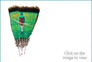 https://artinflightgallery.com/wp-content/uploads/2022/07/Quetzal1.jpg